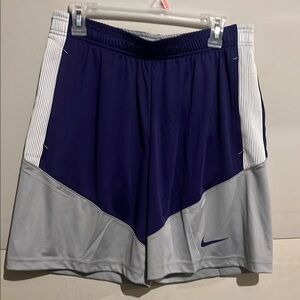 Nike Men's Athletic Shorts in Navy and Gray